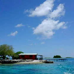 Cheap Flights  to Manihiki island