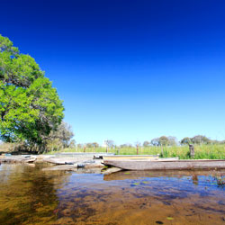 Cheap Flights  to Maun