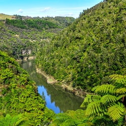 Cheap Flights from Knock to Wanganui