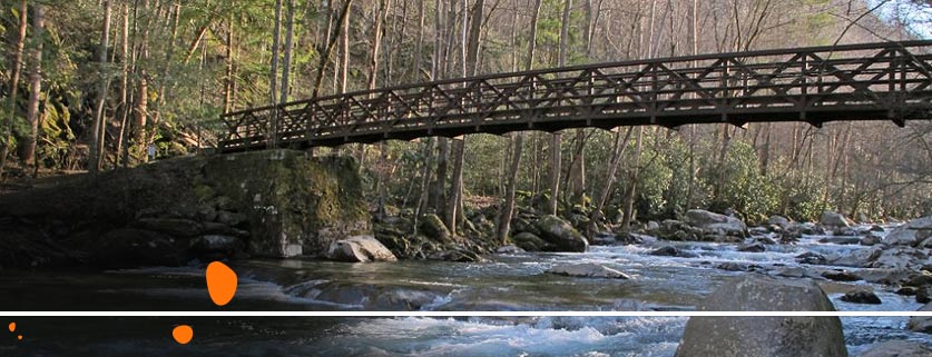 flights to Big Creek