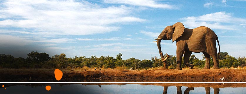 flights to Botswana From Knock