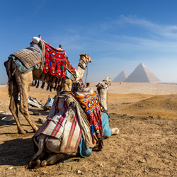 flights to Cairo From Knock