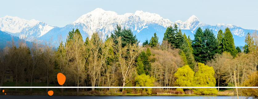 flights to Deer Lake From Cork