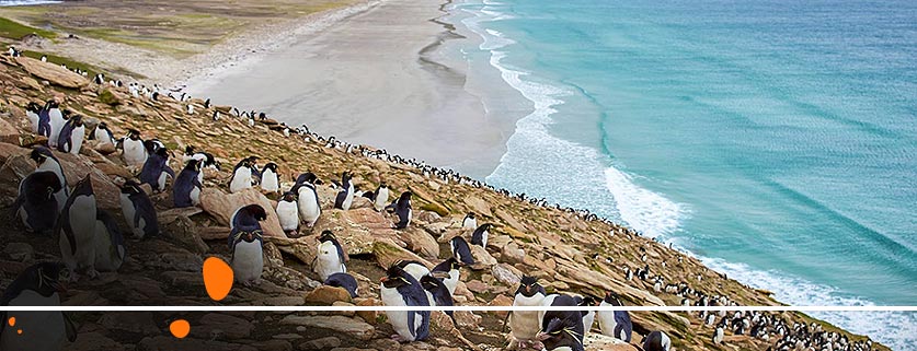 flights to Falkland Islands From Knock