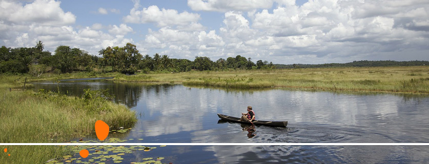 flights to Guyana From Shannon